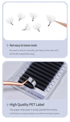 ANNAFRIS 8D W Lash Extension Premade Volume Fan W Shape Bundle Lashes Natural Soft False Eyelashes